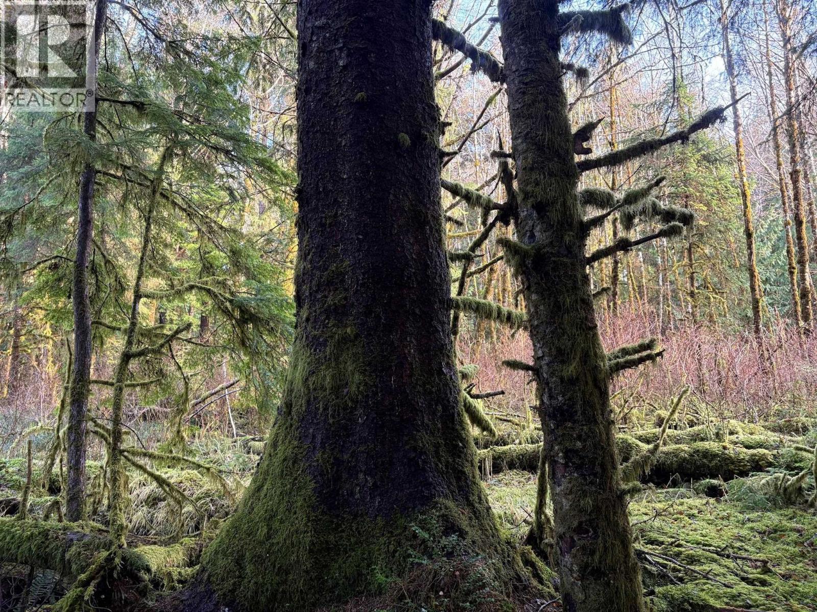 Lot-B 16 Highway, Port Clements, BC