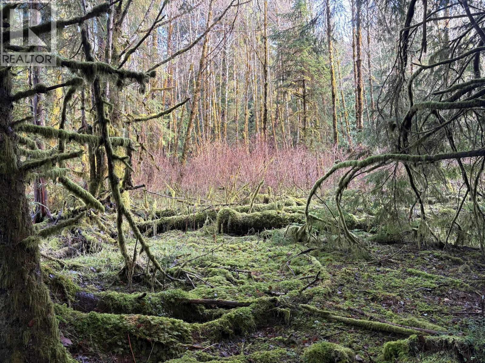 Lot-B 16 Highway, Port Clements, BC