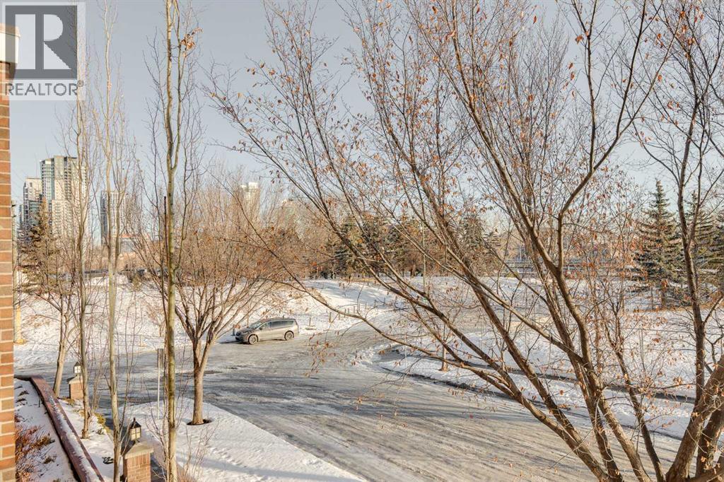 205, 59 22 Avenue Sw, Calgary, AB - Outdoor With View