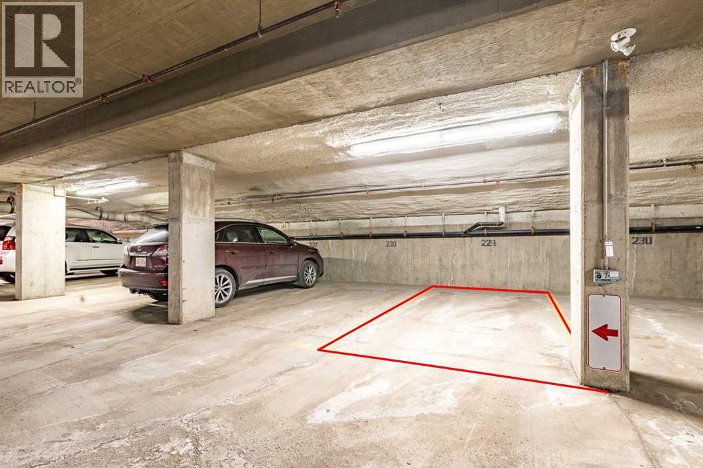 205, 59 22 Avenue Sw, Calgary, AB - Indoor Photo Showing Garage