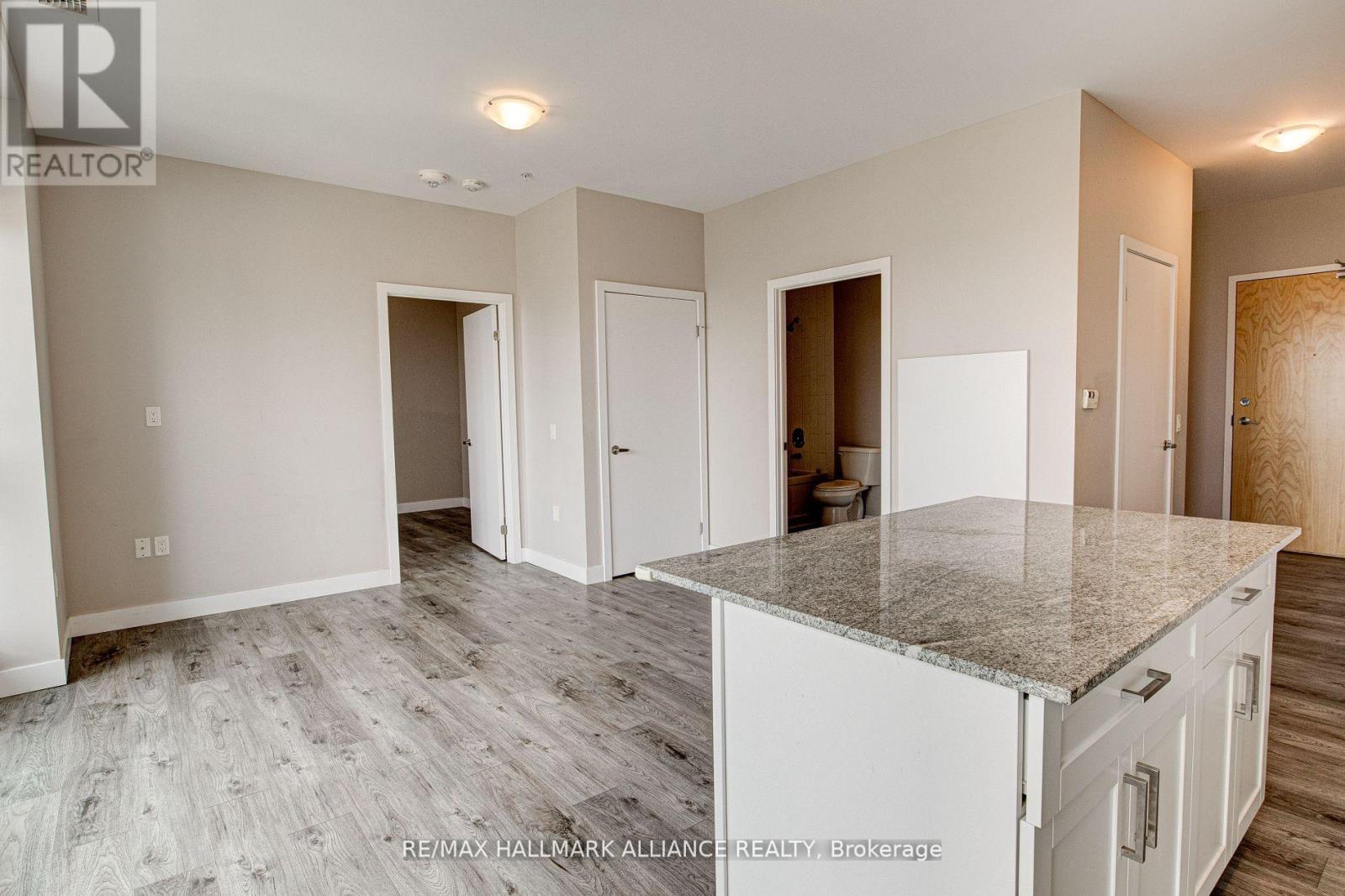 1508 - 100 Garment Street, Kitchener, ON - Indoor Photo Showing Kitchen