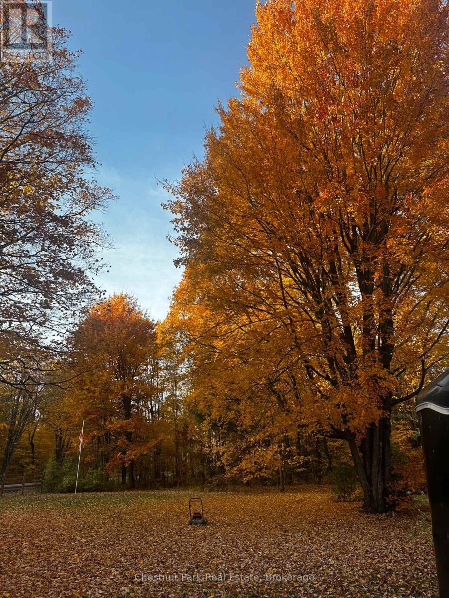 4478 Southwood Road, Muskoka Lakes (Wood (Muskoka Lakes)), ON - Outdoor