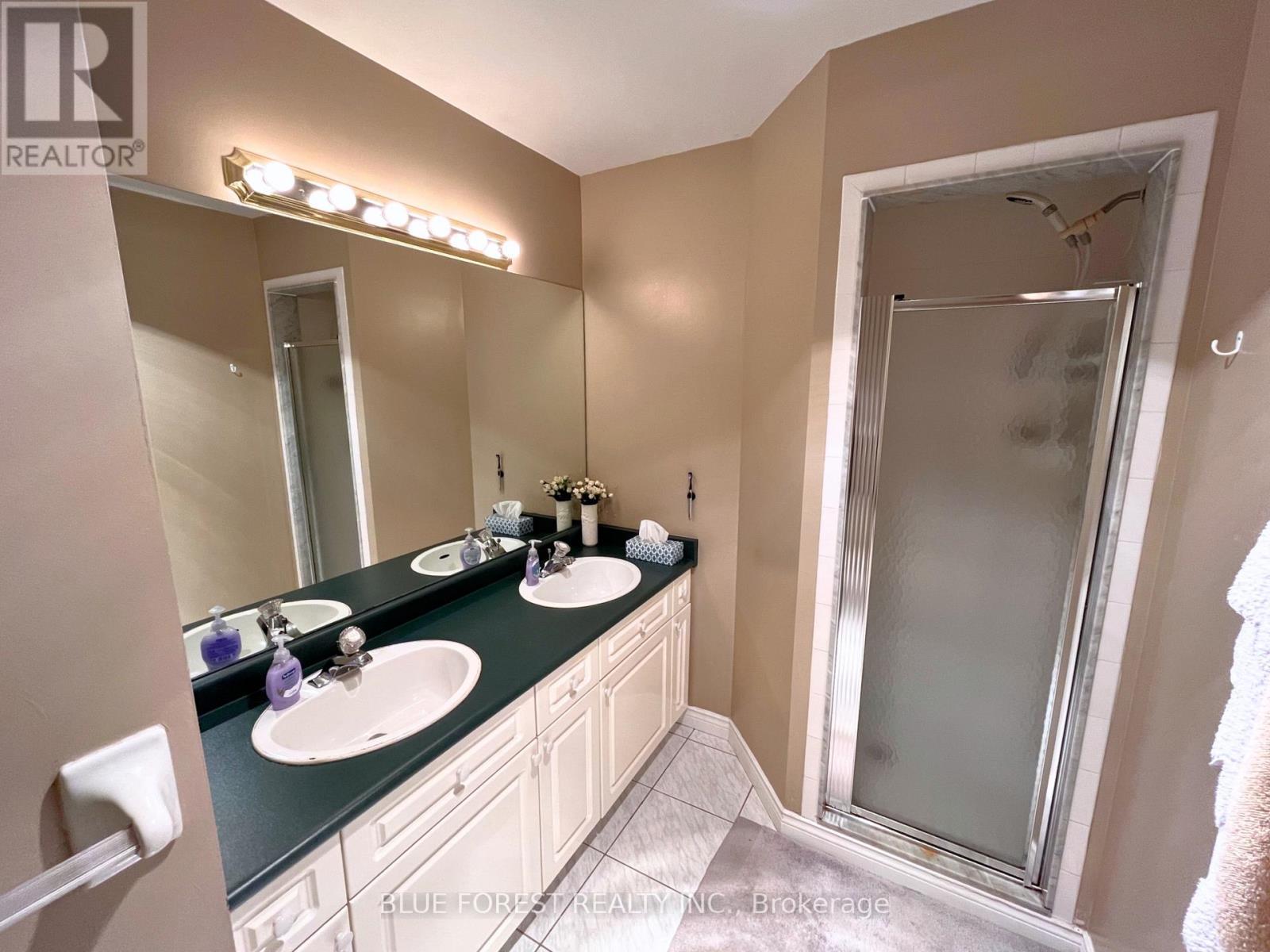 531 Ambleside Drive, London North (North A), ON - Indoor Photo Showing Bathroom