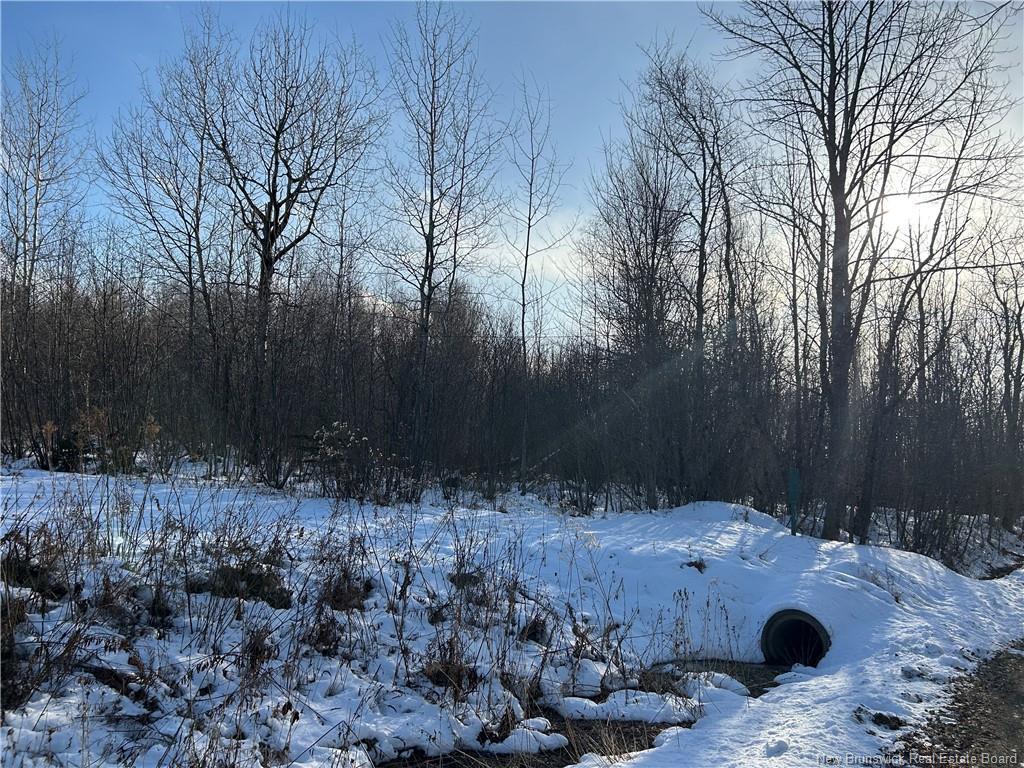 O Resevoir Rd, Saint Stephen, NB