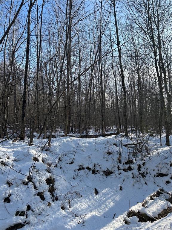 O Resevoir Rd, Saint Stephen, NB