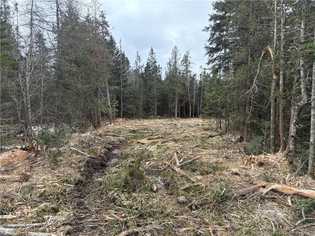 Na Route 790, Dipper Harbour, NB