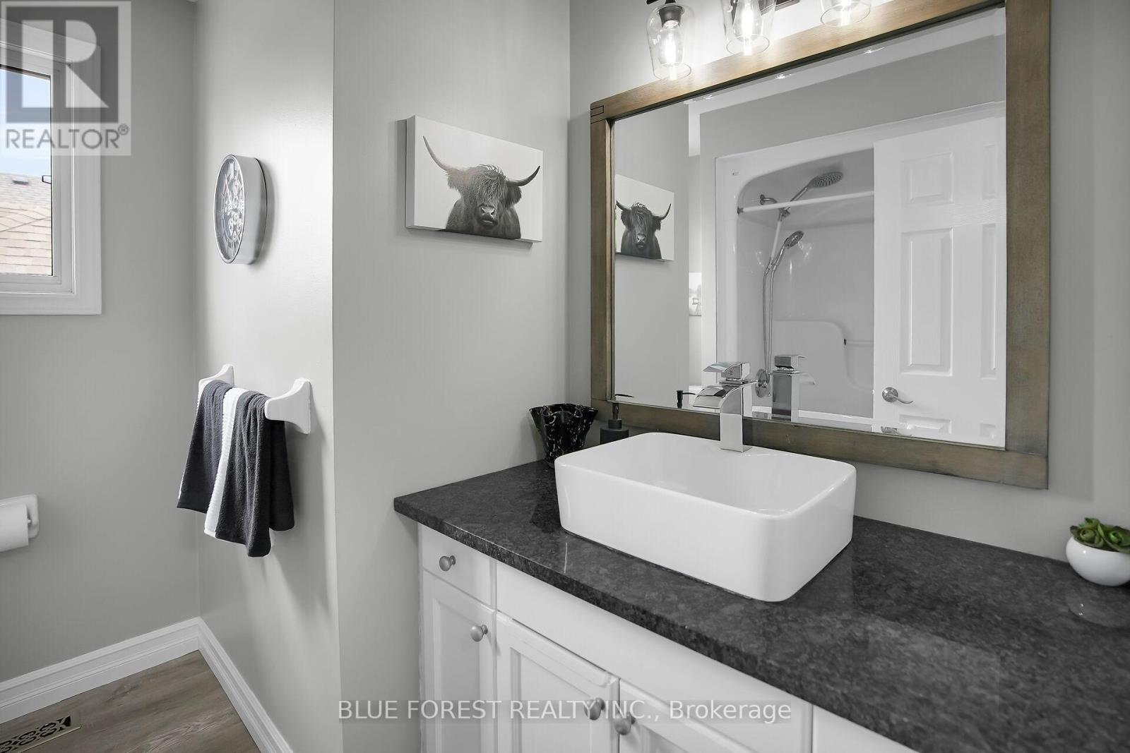 2949 Meadowgate Boulevard, London South (South U), ON - Indoor Photo Showing Bathroom
