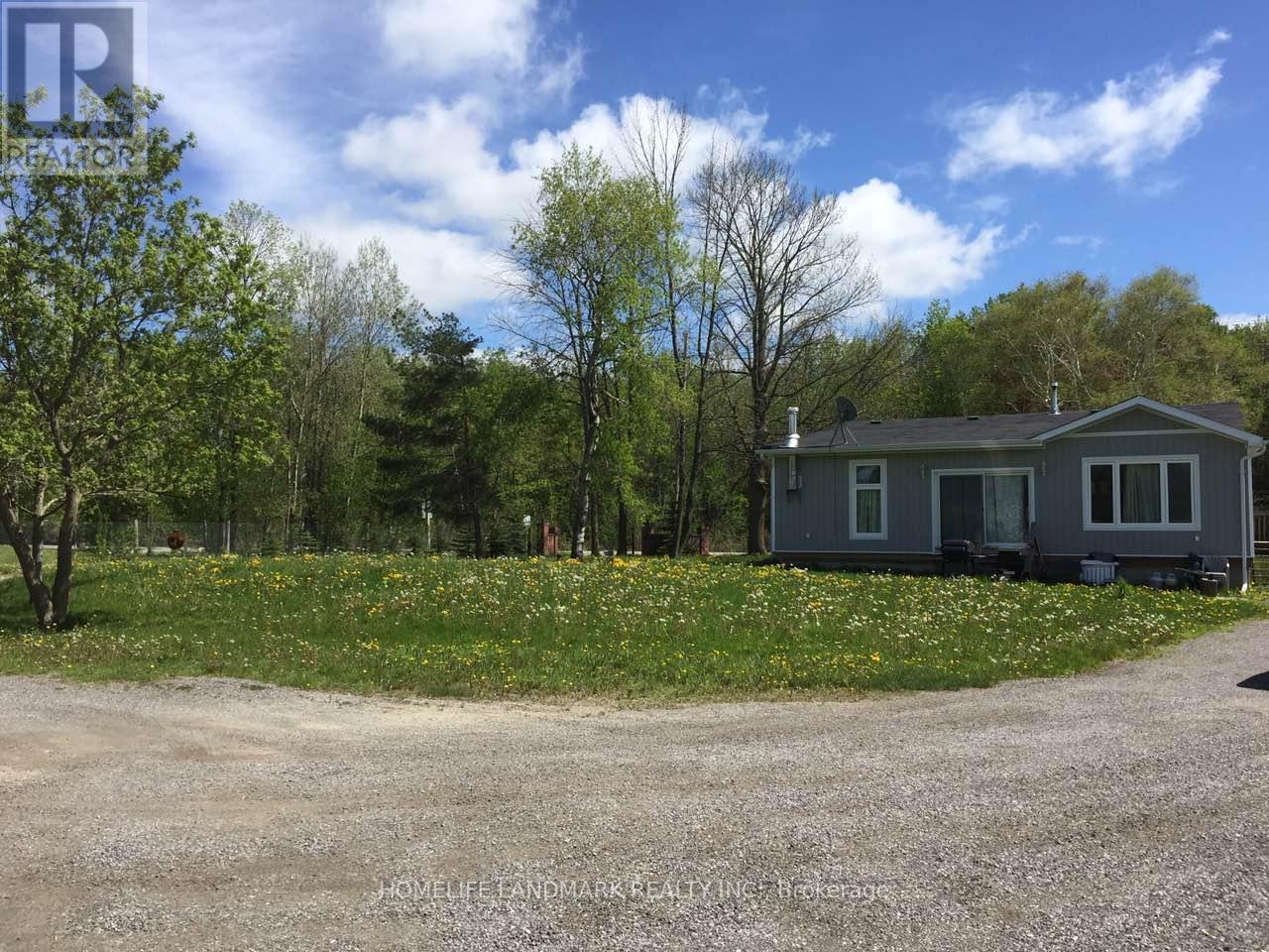 3358 Ravenshoe Road, Georgina, ON - Outdoor