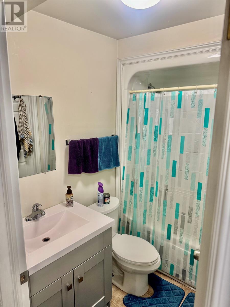 37 Branscombe Street, St. John'S, NL - Indoor Photo Showing Bathroom