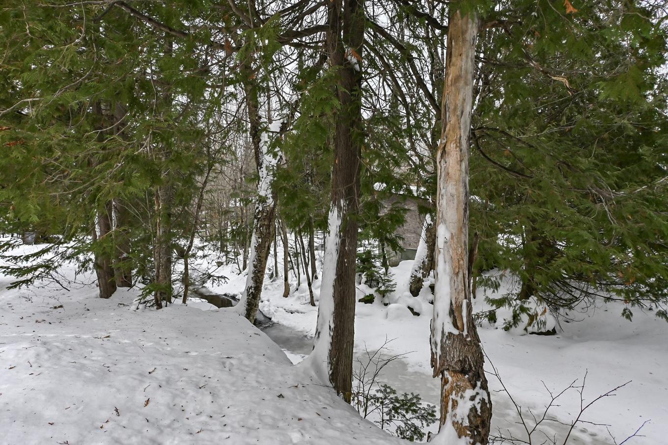 Bord de l'eau - 18 123E Avenue, Saint-Hippolyte, QC - Outdoor