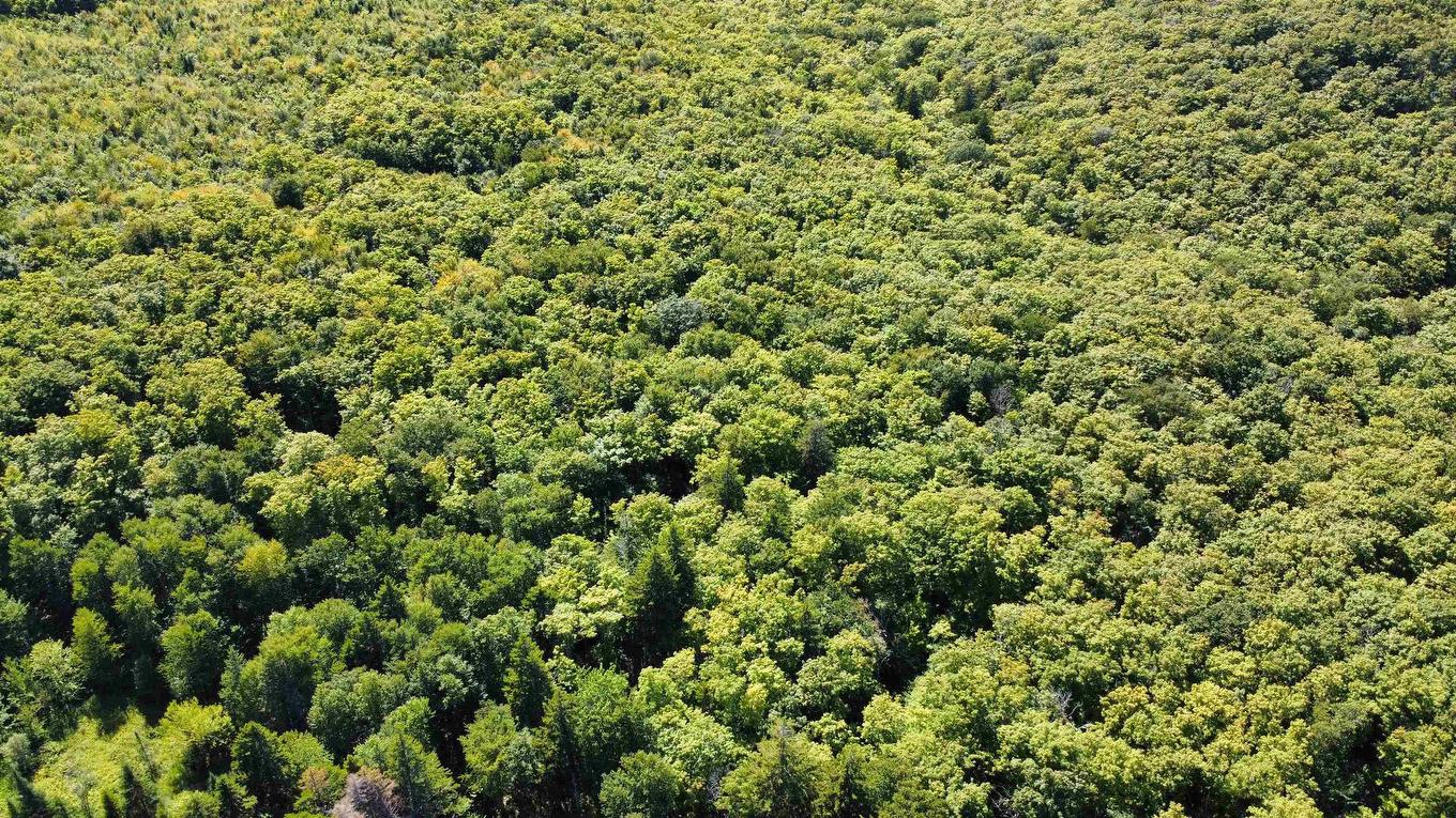 Lot Pid#20098885 Truro Road, New Annan, NS