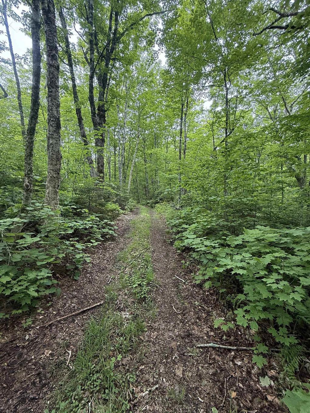 Lot Pid#20098885 Truro Road, New Annan, NS