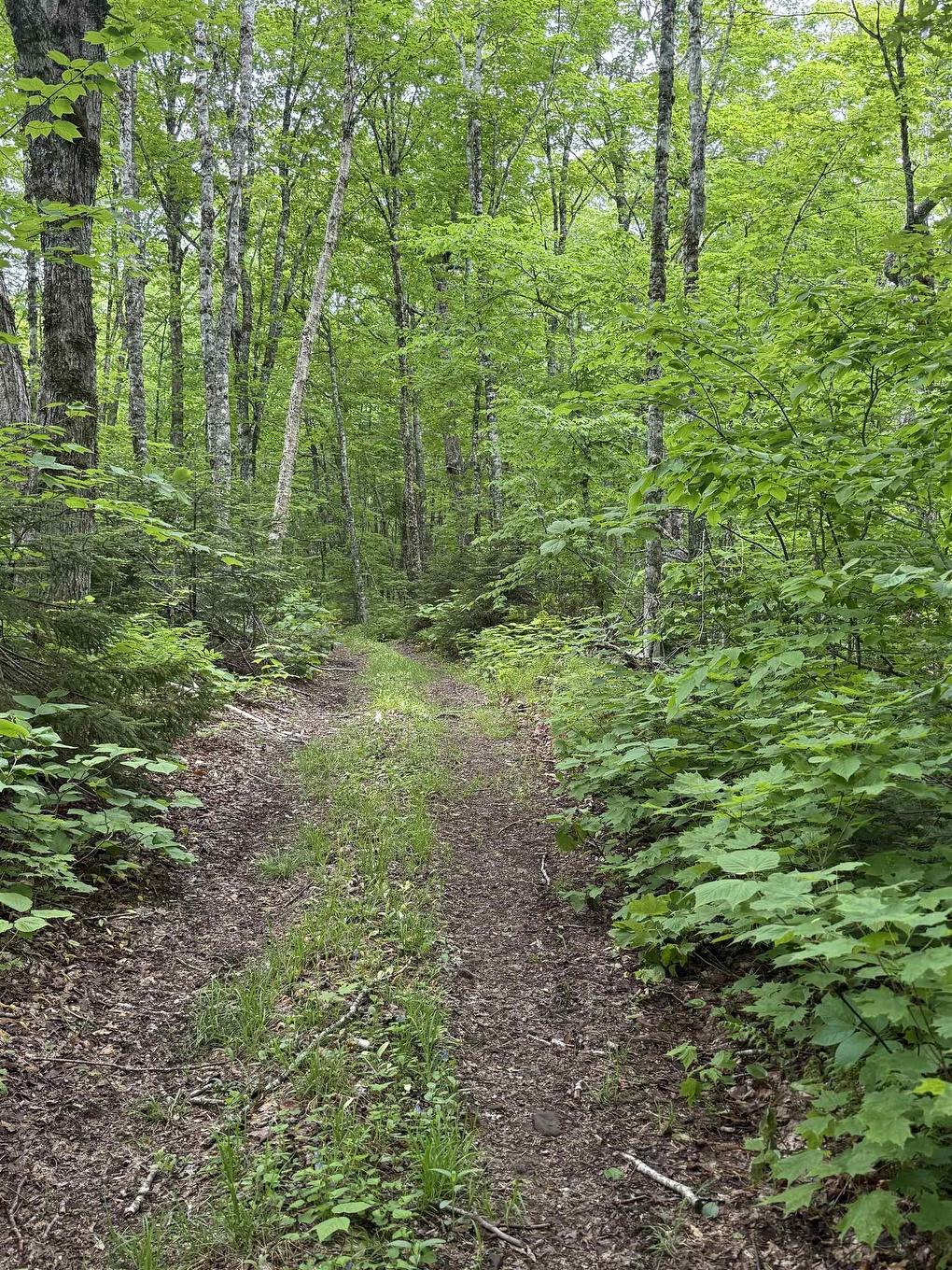 Lot Pid#20098885 Truro Road, New Annan, NS