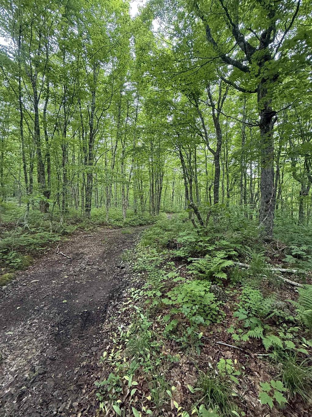 Lot Pid#20098885 Truro Road, New Annan, NS