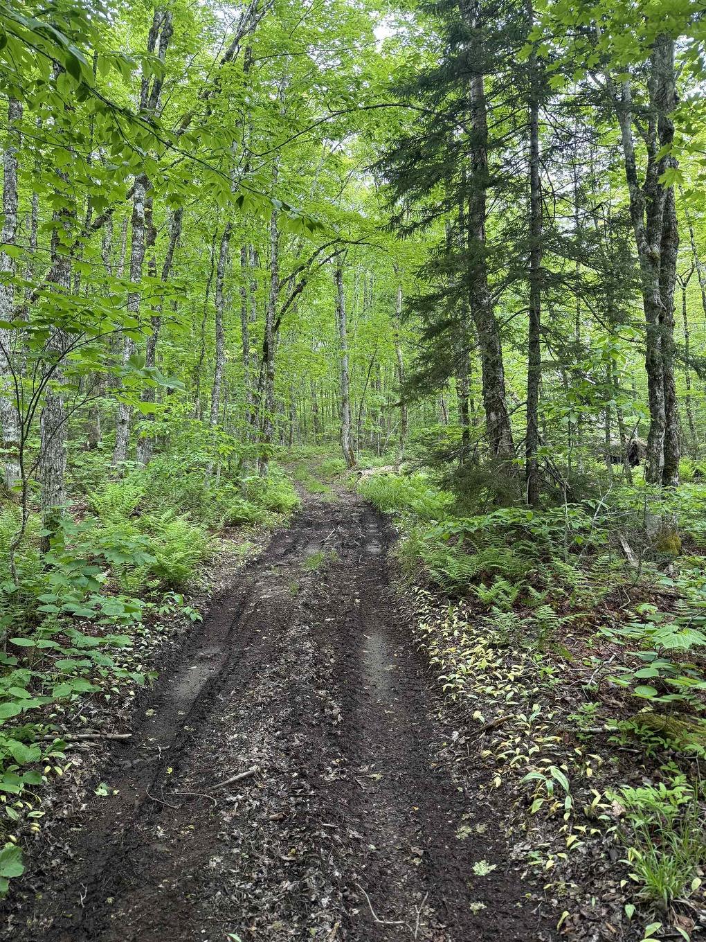 Lot Pid#20098885 Truro Road, New Annan, NS