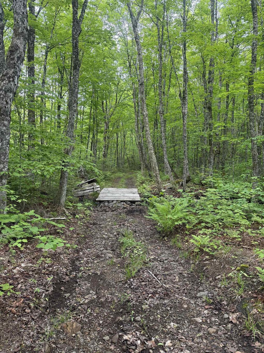 Lot Pid#20098885 Truro Road, New Annan, NS