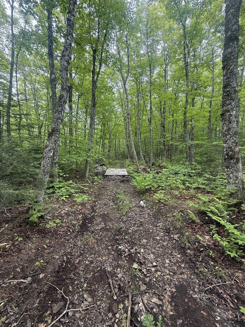 Lot Pid#20098885 Truro Road, New Annan, NS