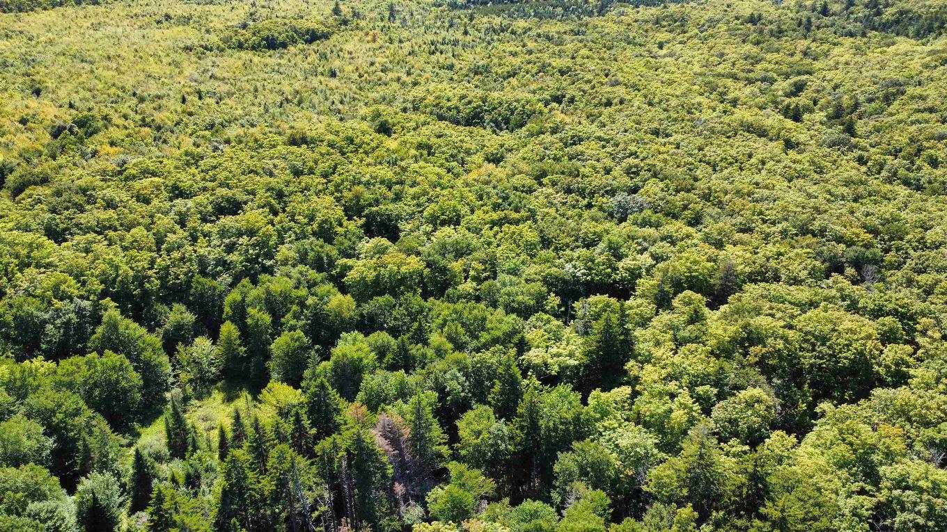 Lot Pid#20098885 Truro Road, New Annan, NS