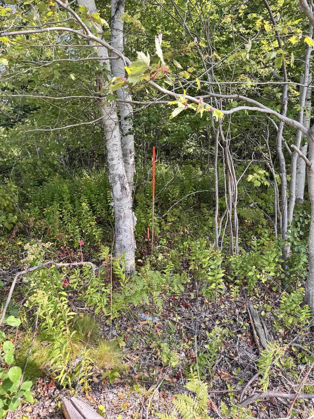 1A Seaside Drive, Gardiner Mines, Ns, Lingan, NS