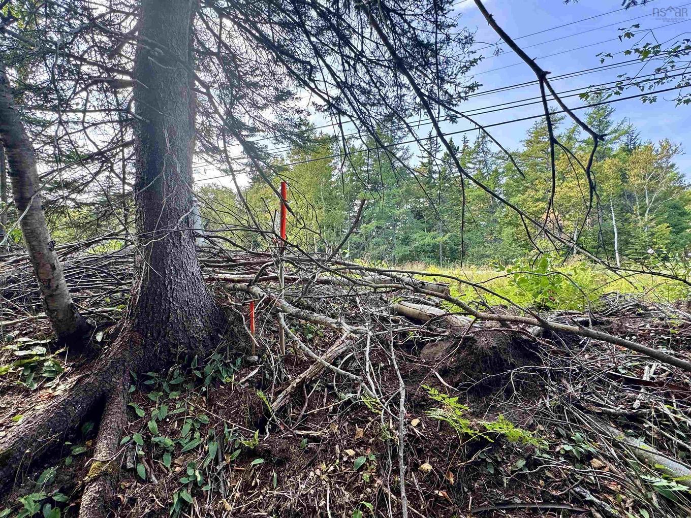 1A Seaside Drive, Gardiner Mines, Ns, Lingan, NS