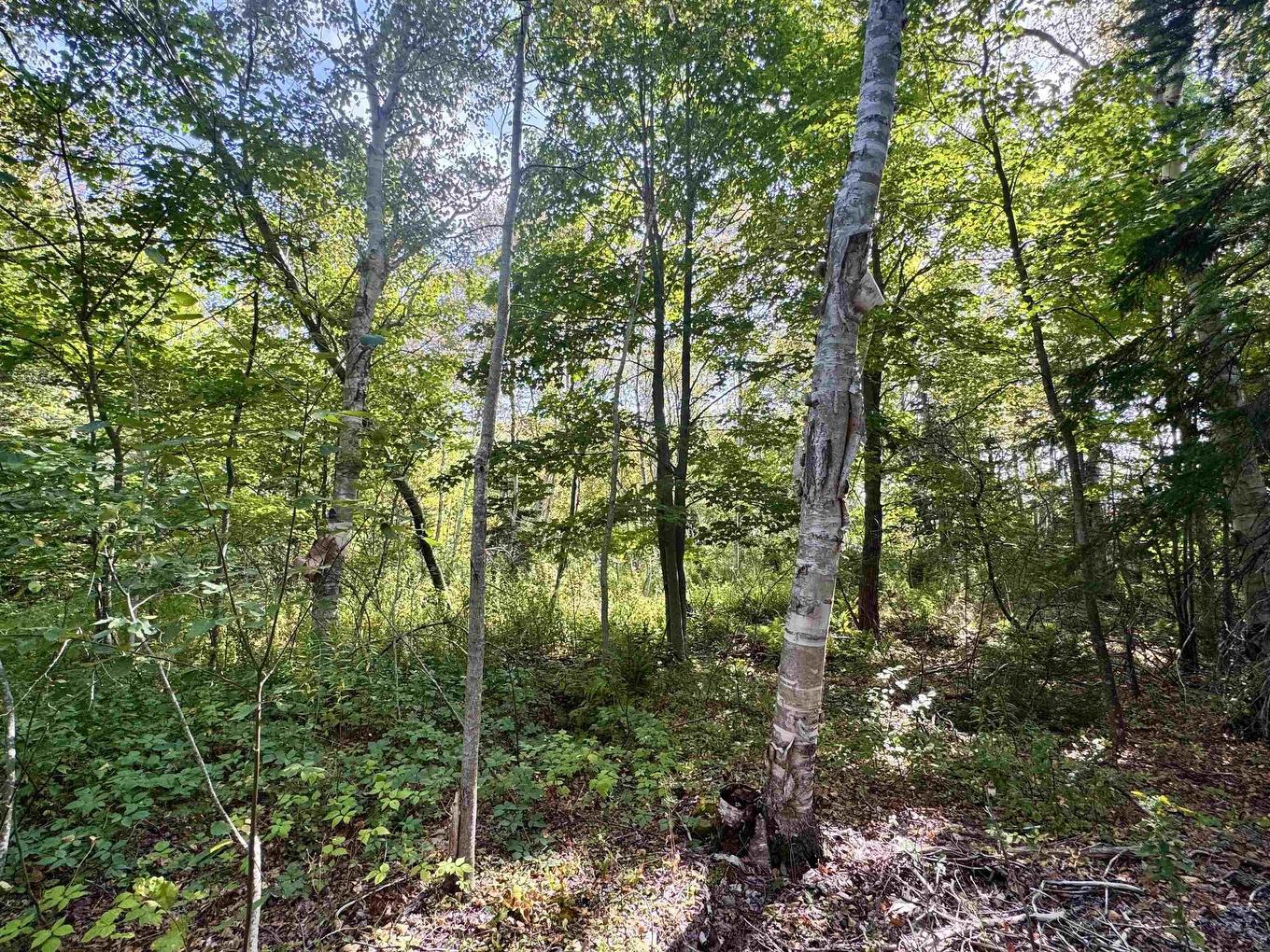 1A Seaside Drive, Gardiner Mines, Ns, Lingan, NS