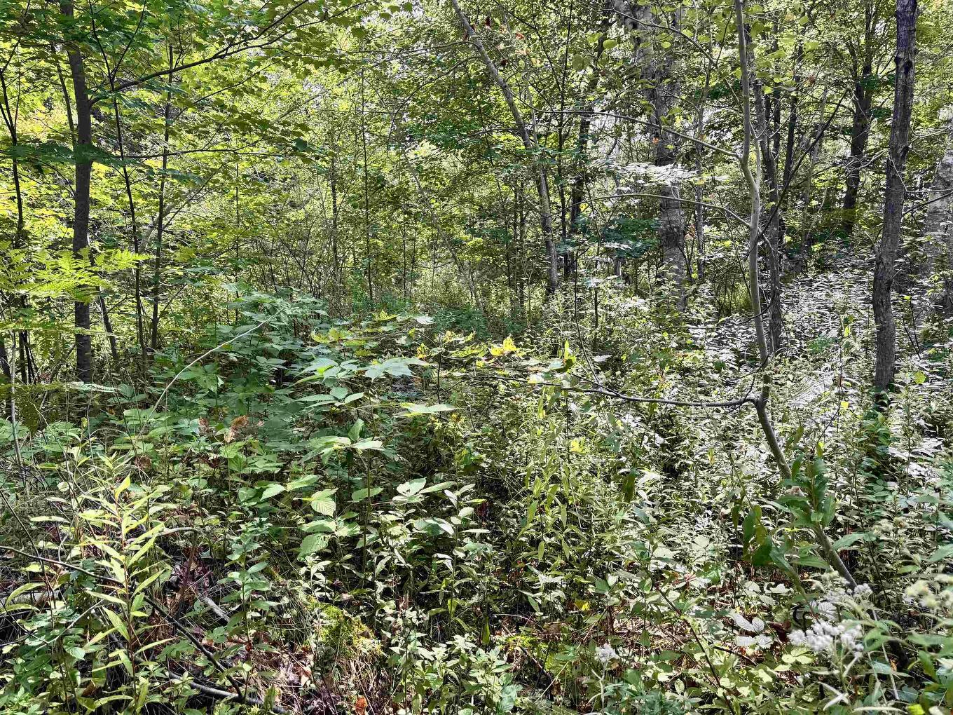 1A Seaside Drive, Gardiner Mines, Ns, Lingan, NS