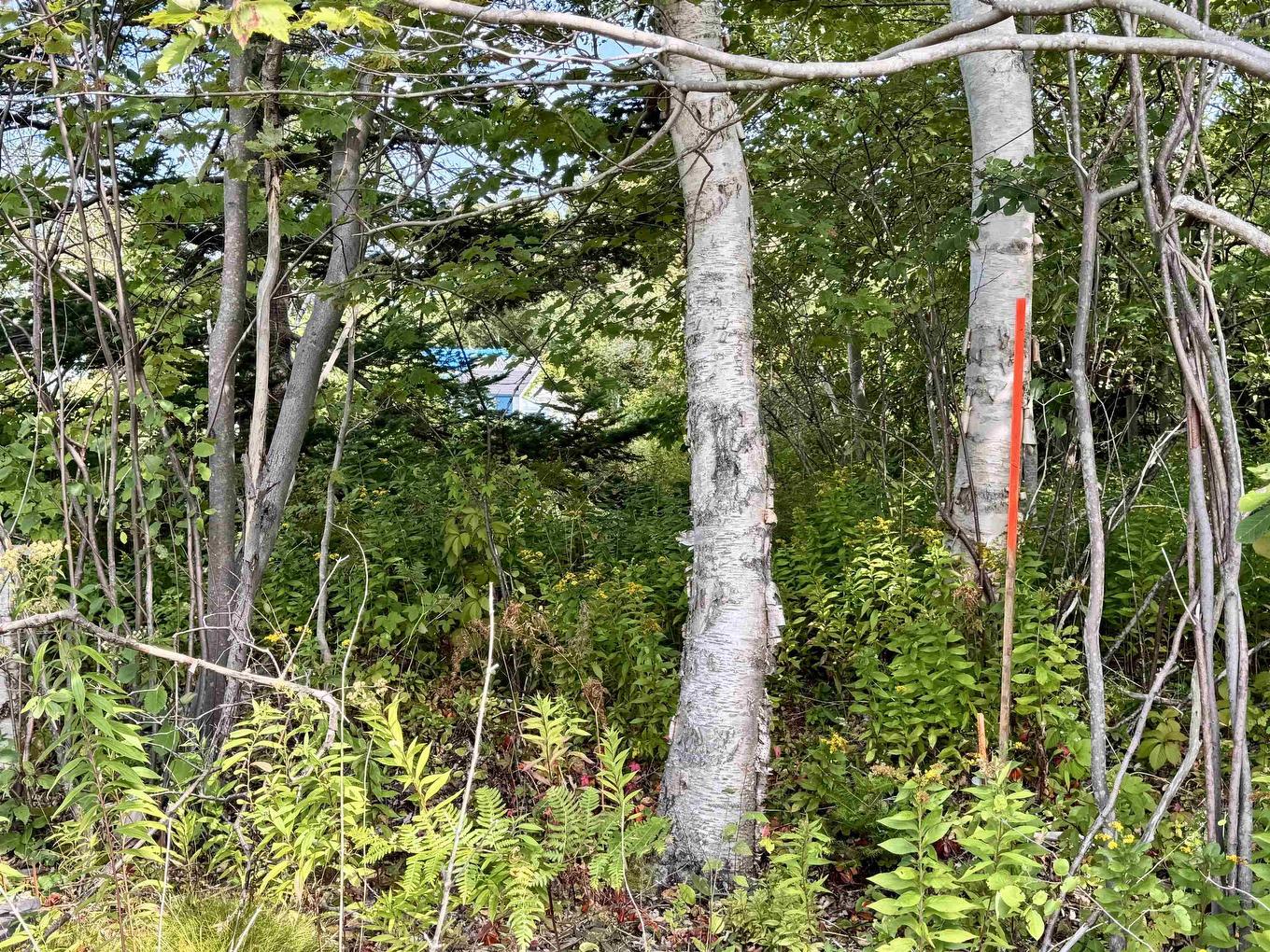 1A Seaside Drive, Gardiner Mines, Ns, Lingan, NS