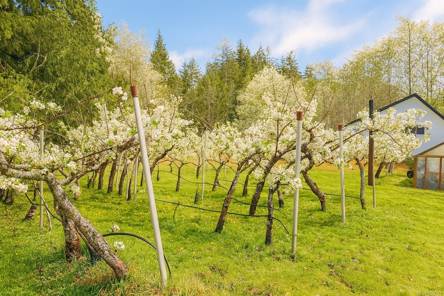 7521 Porier Rd, Sooke, BC