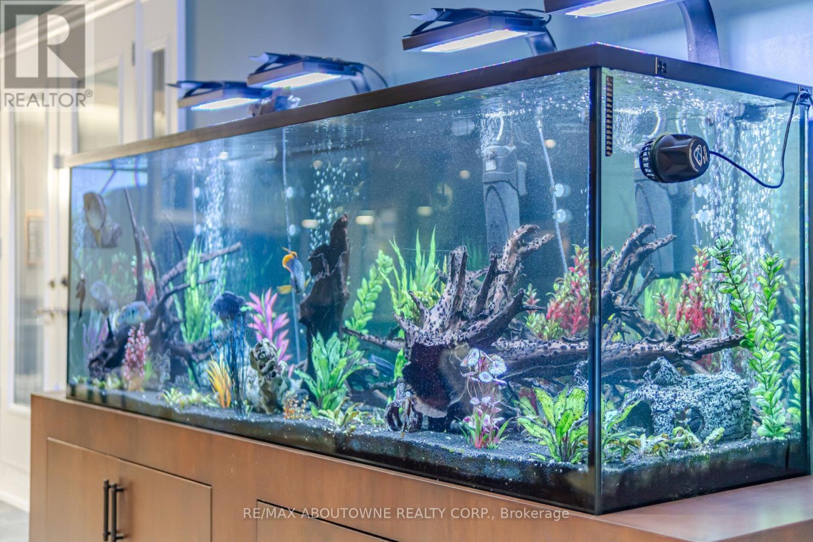 1271 Mineola Gardens, Mississauga, ON - Photo Showing Other Room