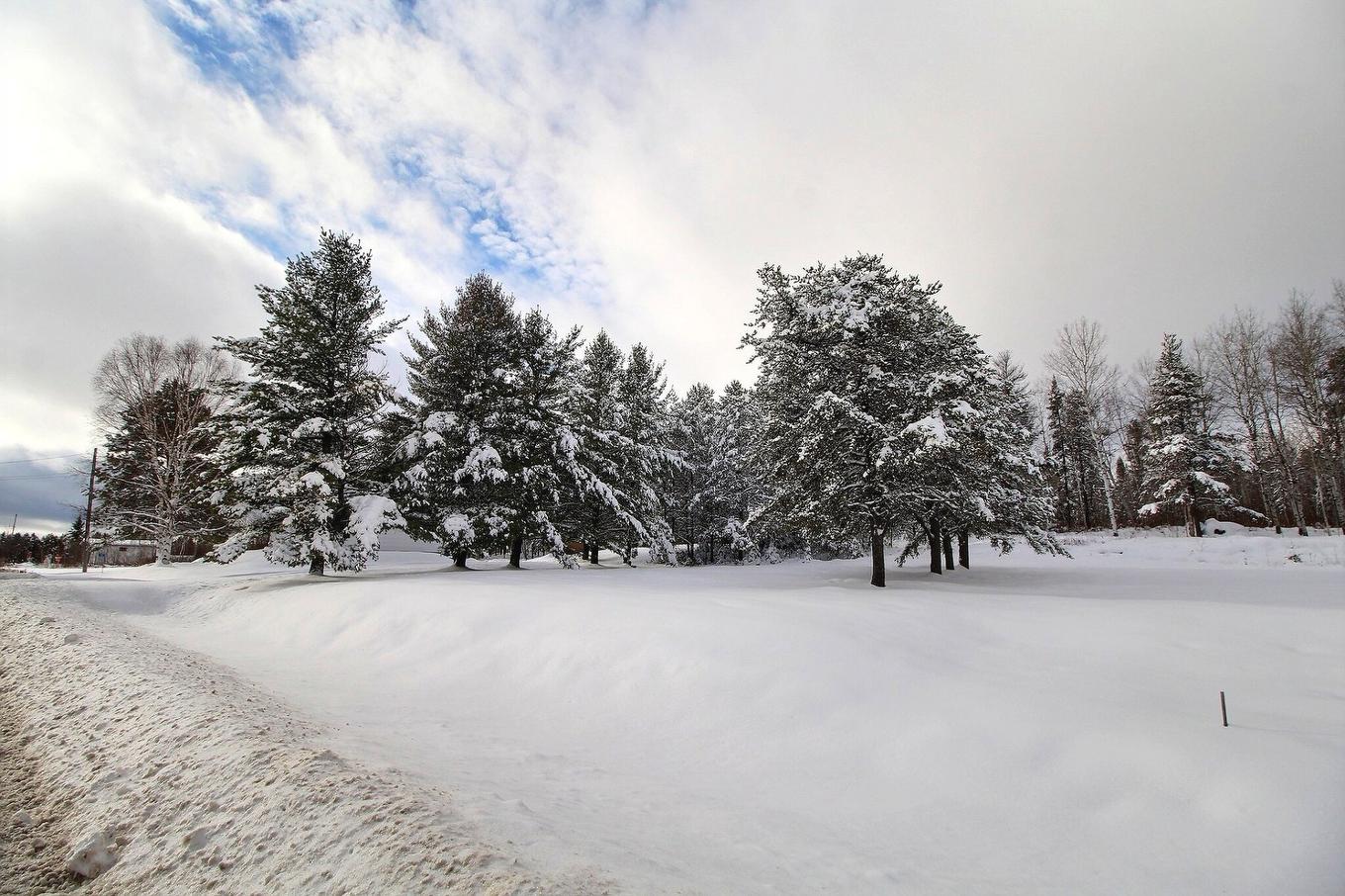 Land/Lot - 130 Route 113 S., Senneterre - Paroisse, QC - Outdoor With View