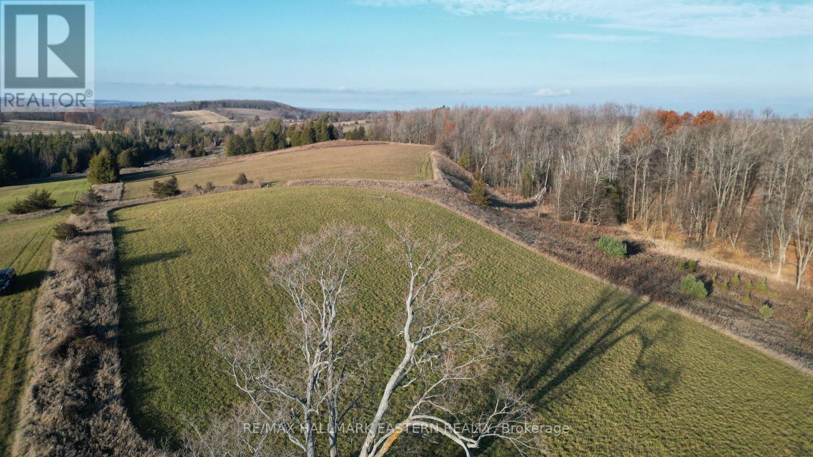 Looking North-East (Maple Bush on right) - 461 Concession 11 E, Trent Hills, ON