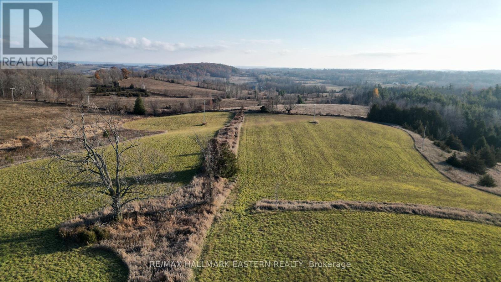 Looking South from highest part of property - 461 Concession 11 E, Trent Hills, ON