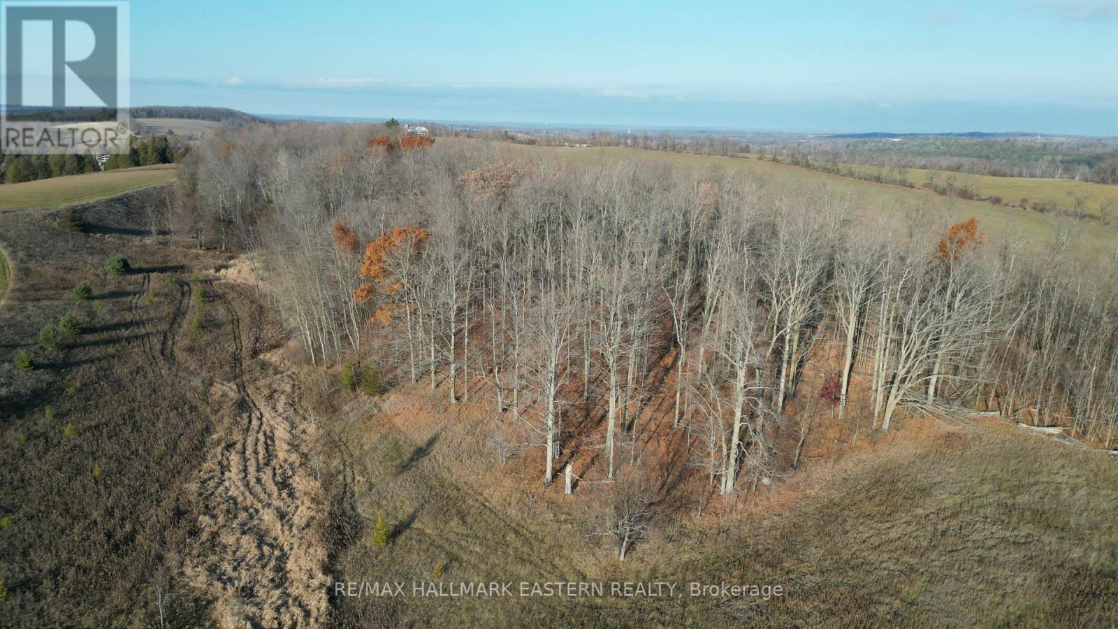 Maple Bush - 461 Concession 11 E, Trent Hills, ON