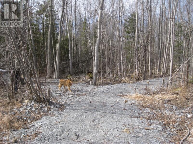 0 Mervin Line, Cavan Monaghan (Cavan-Monaghan), ON