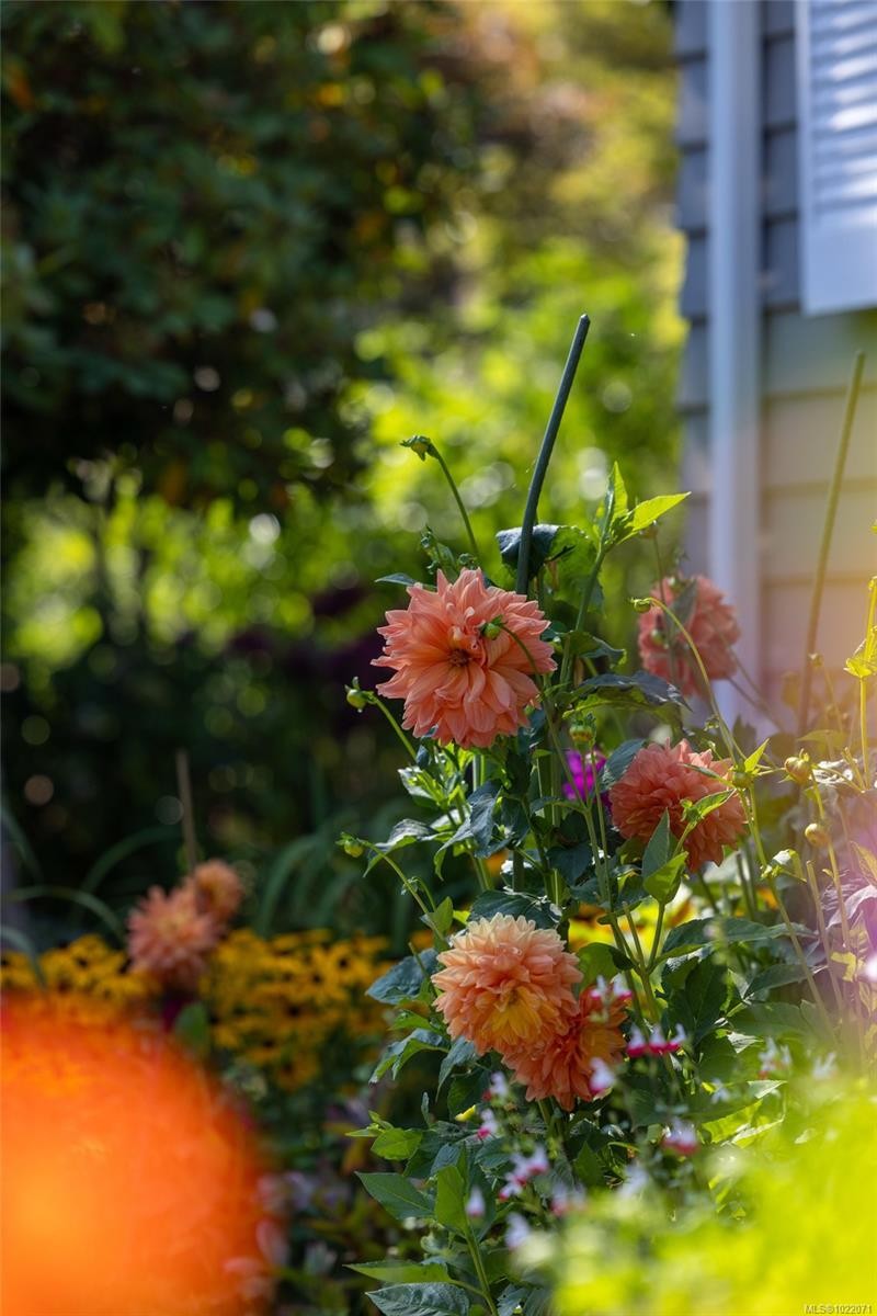 2655 Shady Lane, Oak Bay, BC