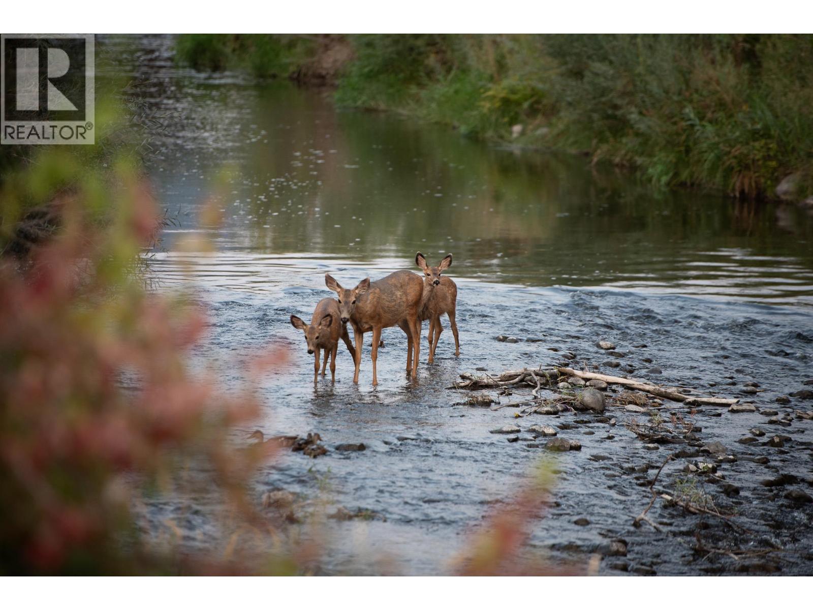 1401 Nicola Avenue Unit# 18, Merritt, BC