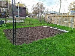 VEGETABLE GARDEN -