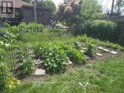 VEGETABLE GARDEN -
