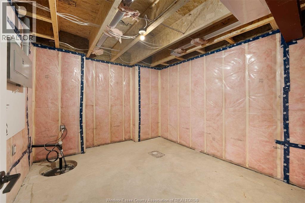 88 Graf Street, Harrow, ON - Indoor Photo Showing Basement