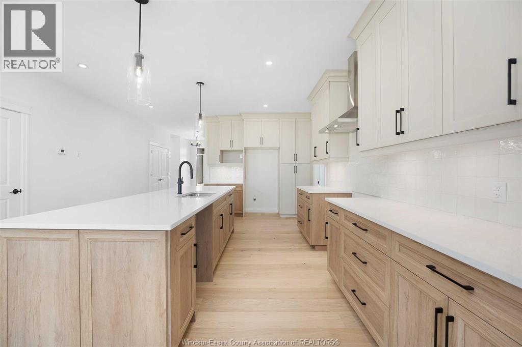 88 Graf Street, Harrow, ON - Indoor Photo Showing Kitchen With Upgraded Kitchen