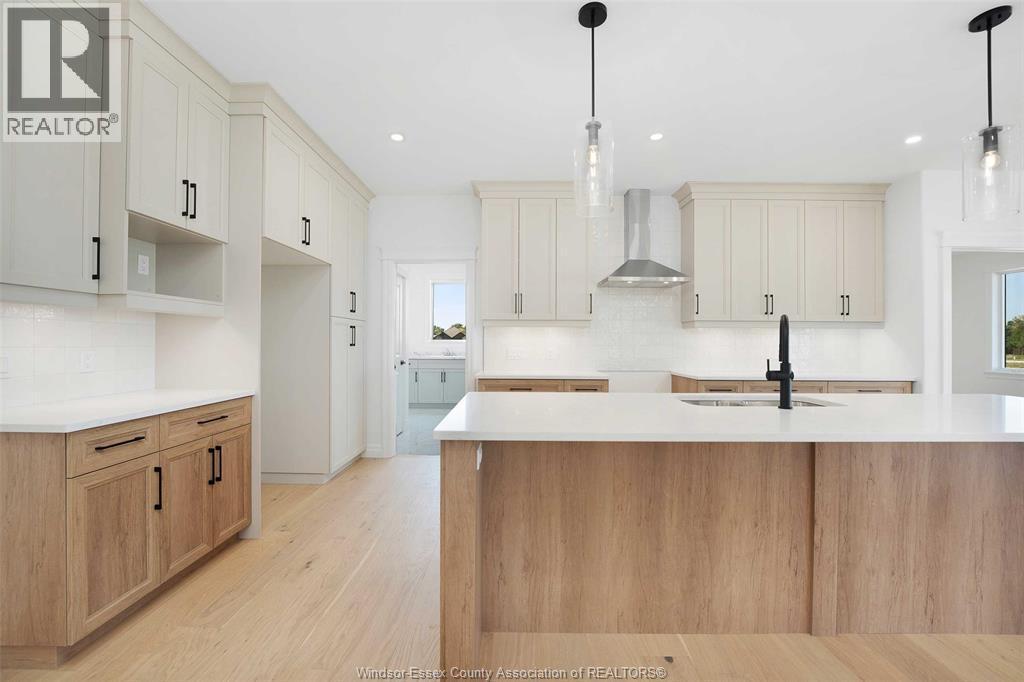 88 Graf Street, Harrow, ON - Indoor Photo Showing Kitchen With Upgraded Kitchen