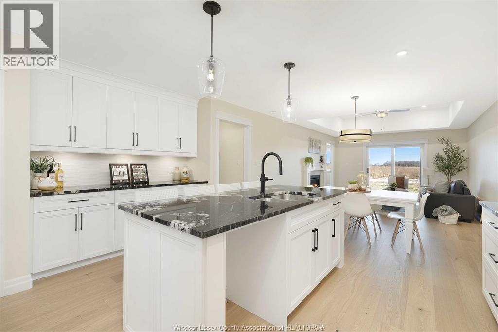 64 Jewel Street, Harrow, ON - Indoor Photo Showing Kitchen With Upgraded Kitchen