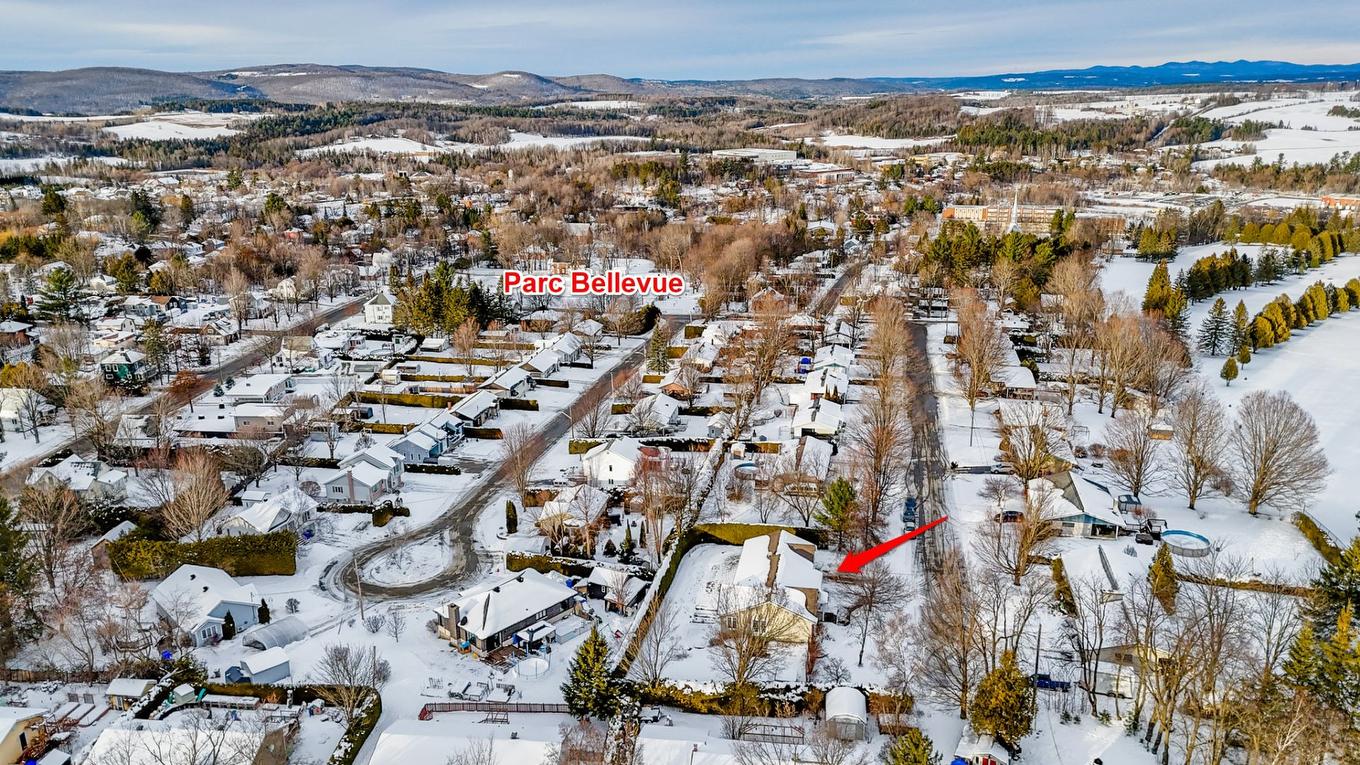 Overall view - 1177 Rue Maisonneuve, Waterville, QC - Outdoor With View
