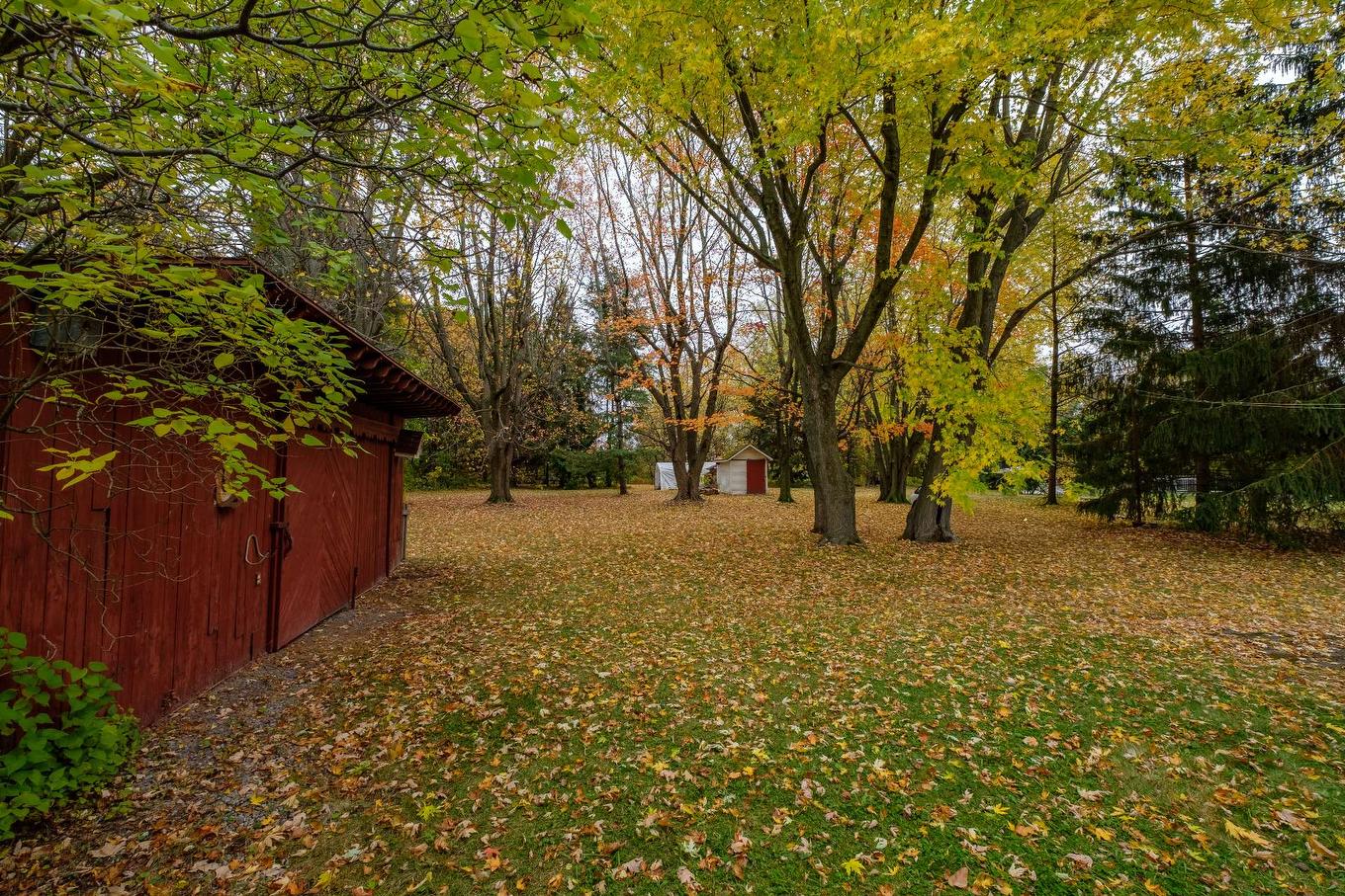 Terre/Terrain - 8 Ch. Richelieu, Saint-Mathias-Sur-Richelieu, QC - Outdoor