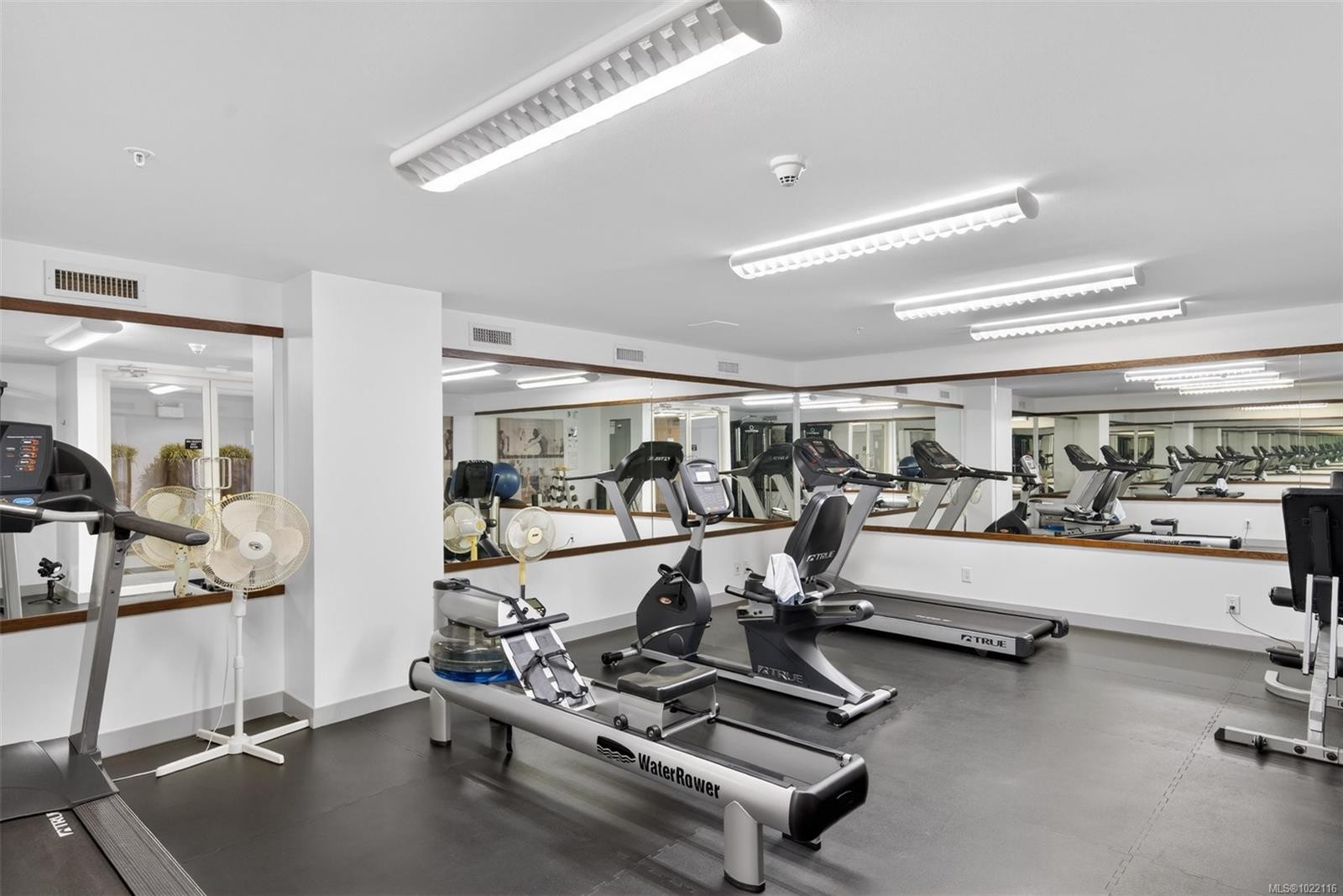 415-999 Burdett Ave, Victoria, BC - Indoor Photo Showing Gym Room