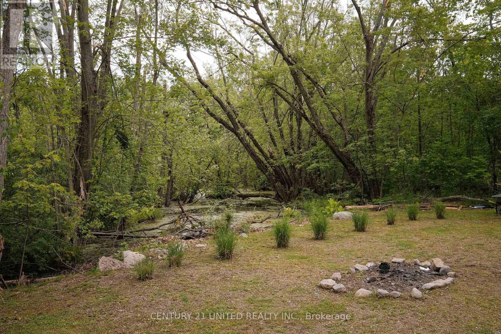 4 Rollies Bay Road E, Curve Lake First Nation 35 (Curve Lake First Nation), ON - Outdoor With View