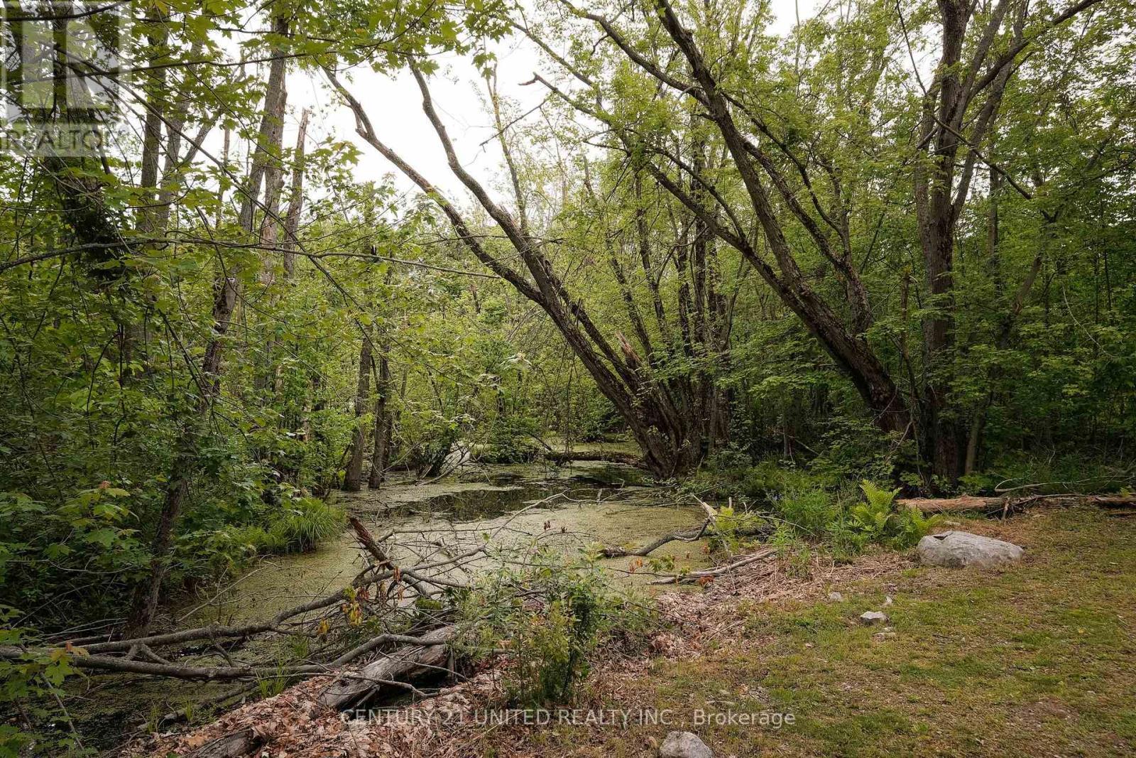 4 Rollies Bay Road E, Curve Lake First Nation 35 (Curve Lake First Nation), ON - Outdoor With View
