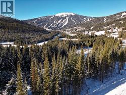 LOT 9 MCGILLIVRAY LAKE Drive Sun Peaks, BC V0E 5N0