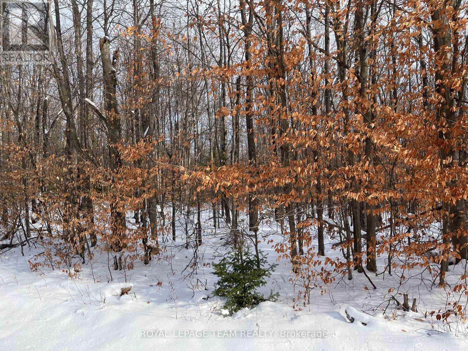 00 Siberia Road, Madawaska Valley, ON