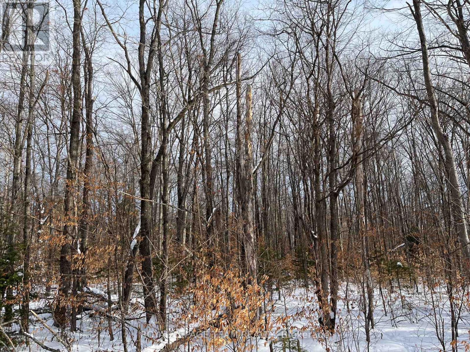 00 Siberia Road, Madawaska Valley, ON